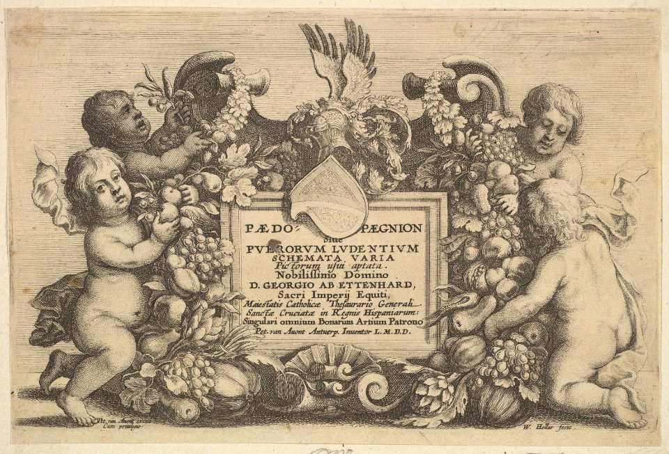 Paedopaegnion MET DP823151