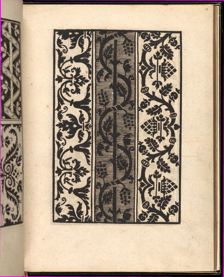 Page from Ein new kunstlich Modelbuch...(Page 19r) MET DP357054