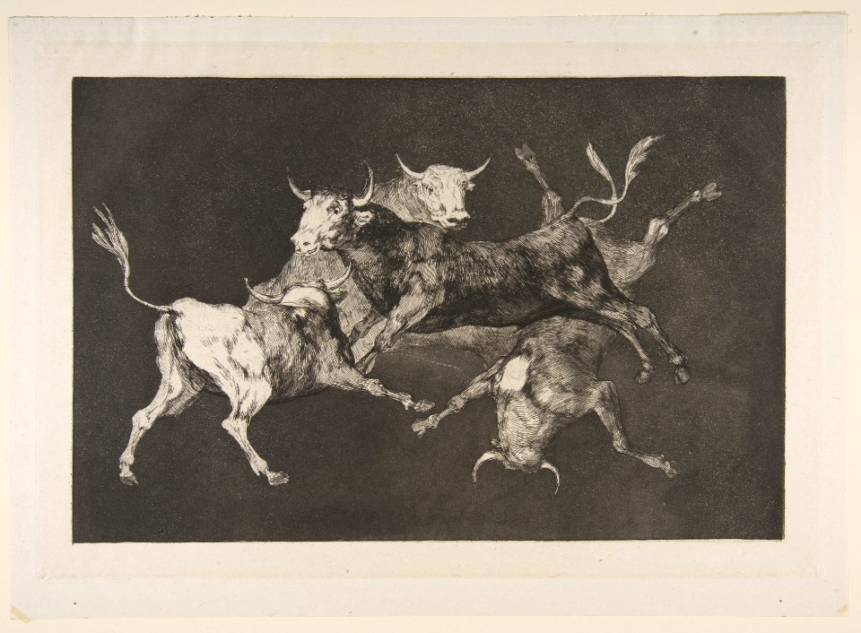 Plate D from the 'Disparates'- Fools-'or Little Bulls' - folly MET DP817486