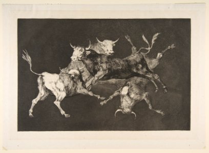Plate D from the 'Disparates'- Fools-'or Little Bulls' - folly MET DP817486