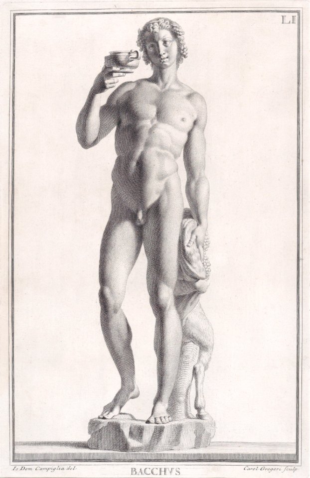 Plate LI (51)- Bacchus Met DP887786