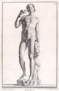Plate LI (51)- Bacchus Met DP887786