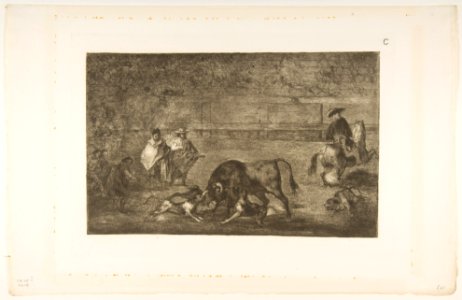 Plate C- The dogs let loose on the bull. MET DP817526