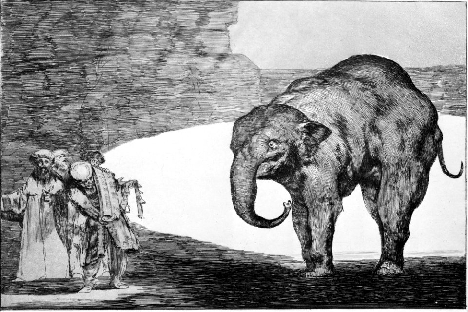 Plate C from the 'Disparates'- Animal Folly MET MM10304