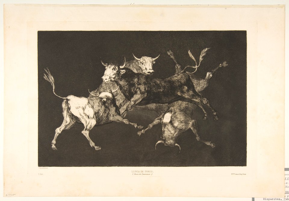 Plate D from the 'Disparates'- Fools-'or Little Bulls' - folly MET DP817507