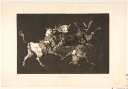 Plate D from the 'Disparates'- Fools-'or Little Bulls' - folly MET DP817507