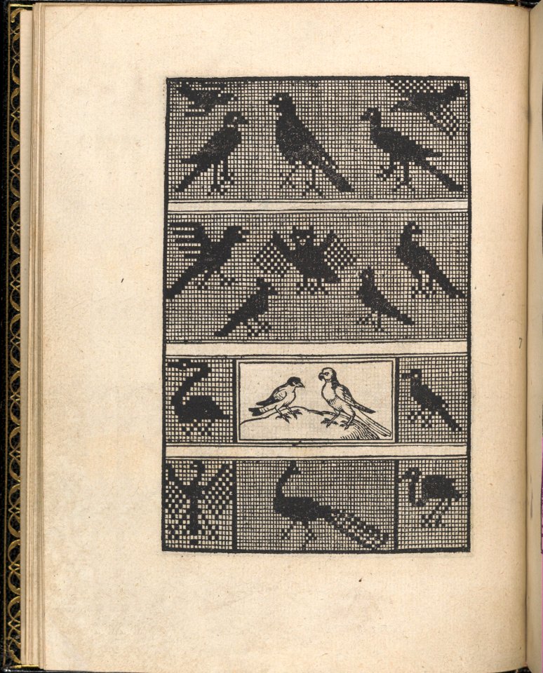 Page from Ein new kunstlich Modelbuch...(Page 7v) MET DP357033
