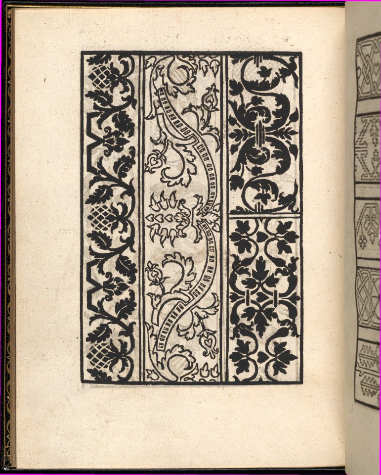 Page from Ein new kunstlich Modelbuch...(Page 43v) MET DP357106