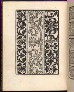 Page from Ein new kunstlich Modelbuch...(Page 43v) MET DP357106