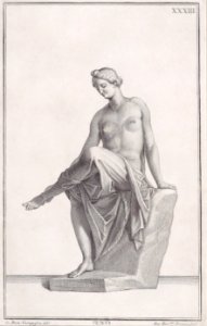 Plate XXXIII (33)- Venus Met DP887776
