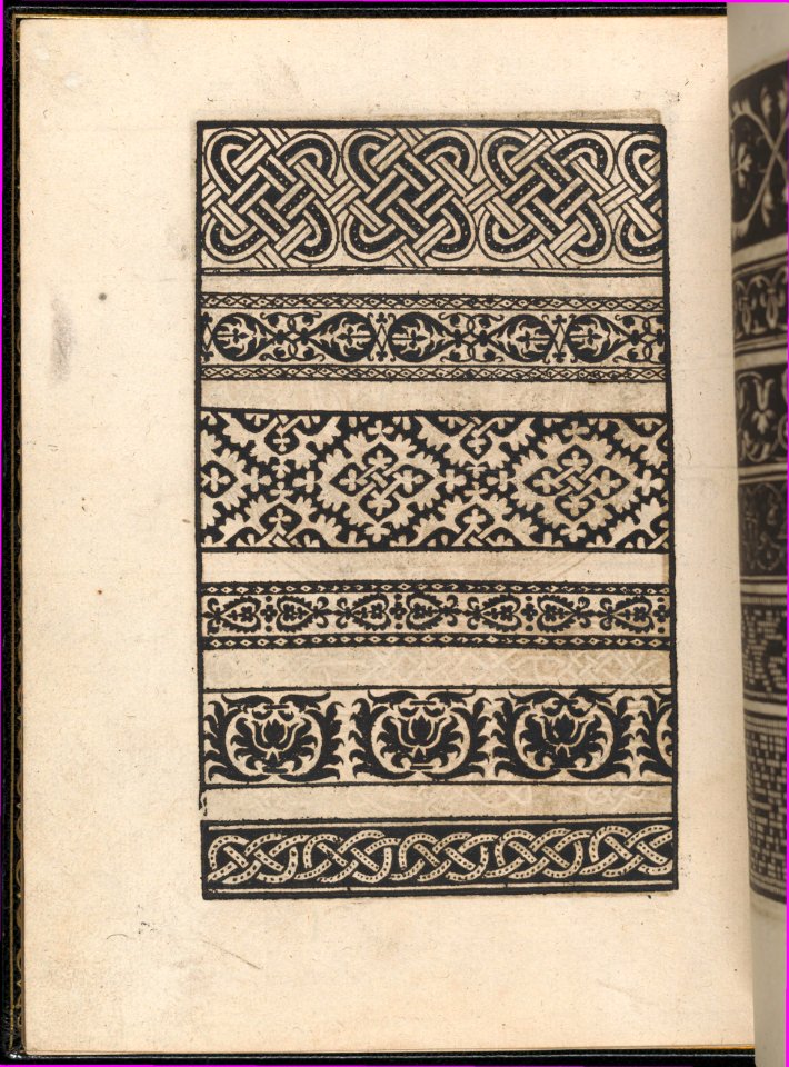 Page from Ein new kunstlich Modelbuch...(Page 48v) MET DP357116