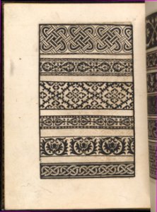 Page from Ein new kunstlich Modelbuch...(Page 48v) MET DP357116