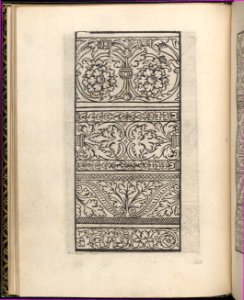Page from Ein new kunstlich Modelbuch...(Page 11v) MET DP357041