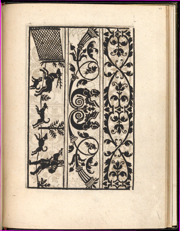 Page from Ein new kunstlich Modelbuch...(Page 43r) MET DP357103