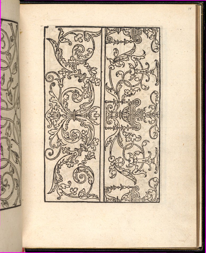 Page from Ein new kunstlich Modelbuch...(Page 17v) MET DP357052