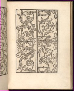 Page from Ein new kunstlich Modelbuch...(Page 17v) MET DP357052