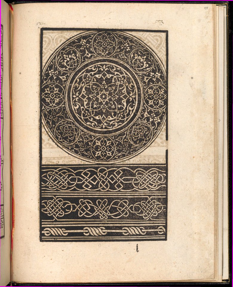 Page from Ein new kunstlich Modelbuch...(Page 48r) MET DP357113
