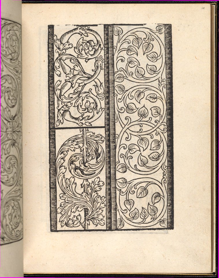 Page from Ein new kunstlich Modelbuch...(Page 14r) MET DP357044