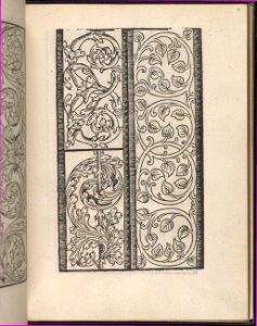 Page from Ein new kunstlich Modelbuch...(Page 14r) MET DP357044