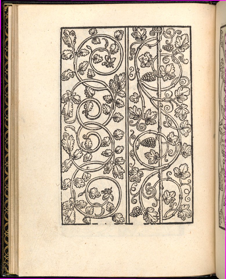 Page from Ein new kunstlich Modelbuch...(Page 15v) MET DP357049