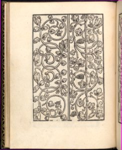 Page from Ein new kunstlich Modelbuch...(Page 15v) MET DP357049