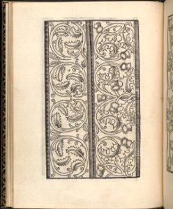 Page from Ein new kunstlich Modelbuch...(Page 14v) MET DP357047