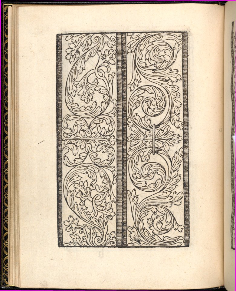 Page from Ein new kunstlich Modelbuch...(Page 13v) MET DP357045