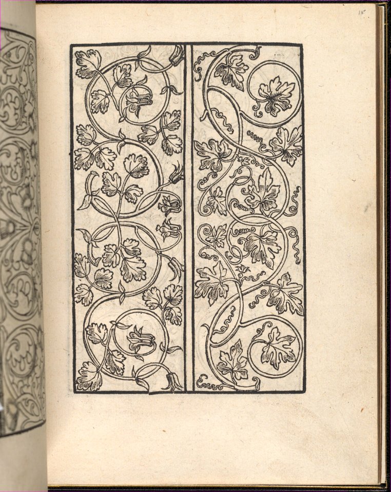 Page from Ein new kunstlich Modelbuch...(Page 15r) MET DP357046