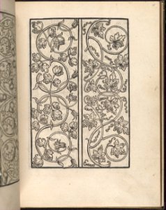 Page from Ein new kunstlich Modelbuch...(Page 15r) MET DP357046