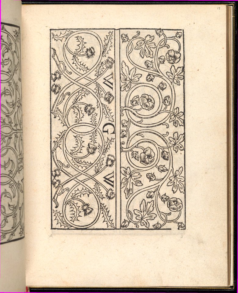 Page from Ein new kunstlich Modelbuch...(Page 17r) MET DP357050