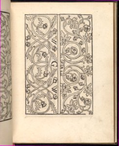 Page from Ein new kunstlich Modelbuch...(Page 17r) MET DP357050