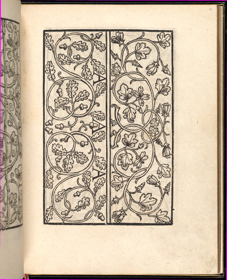 Page from Ein new kunstlich Modelbuch...(Page 16r) MET DP357048