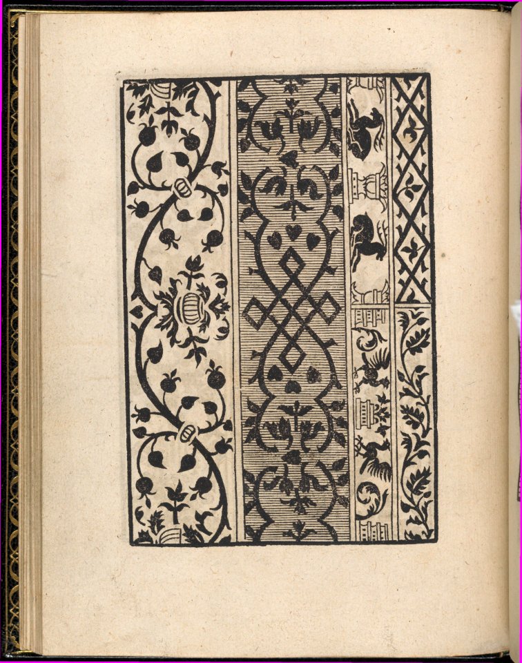 Page from Ein new kunstlich Modelbuch...(Page 19v) MET DP357057