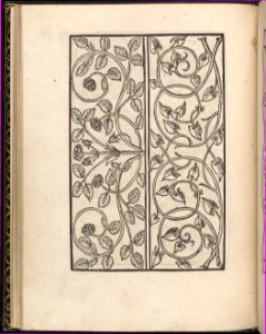 Page from Ein new kunstlich Modelbuch...(Page 17v) MET DP357053