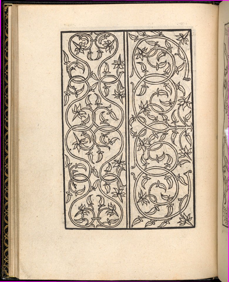 Page from Ein new kunstlich Modelbuch...(Page 16v) MET DP357051