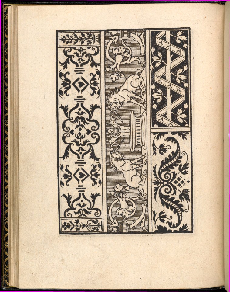 Page from Ein new kunstlich Modelbuch...(Page 18v) MET DP357055
