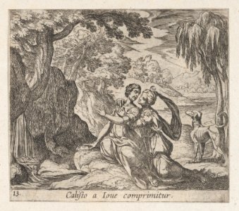 Plate 13-Jupiter and Callisto (Calisto a Iove comprimitur), from Ovid's 'Metamorphoses' MET DP864242