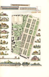 Plans Raisonnés de Toutes les Espèces de Jardins MET DP165290