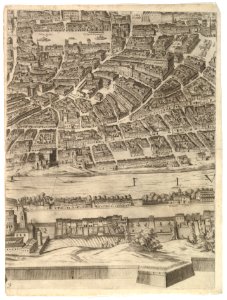 Plan of the City of Rome. Part 9 with Piazza Navona, the Campo di Fiore and the Sant' Onofrio (left bank) MET DP826511