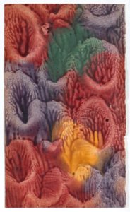 Paste paper with red, yellow, green, and purple patterns Met DP887038