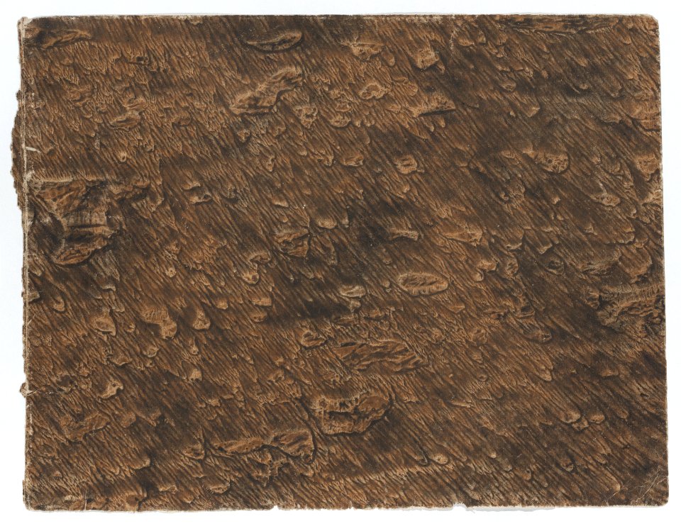 Paste paper with brown design Met DP887093