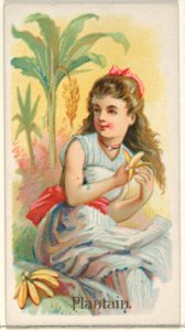 Plantain, from the Fruits series (N12) for Allen & Ginter Cigarettes Brands MET DP834641