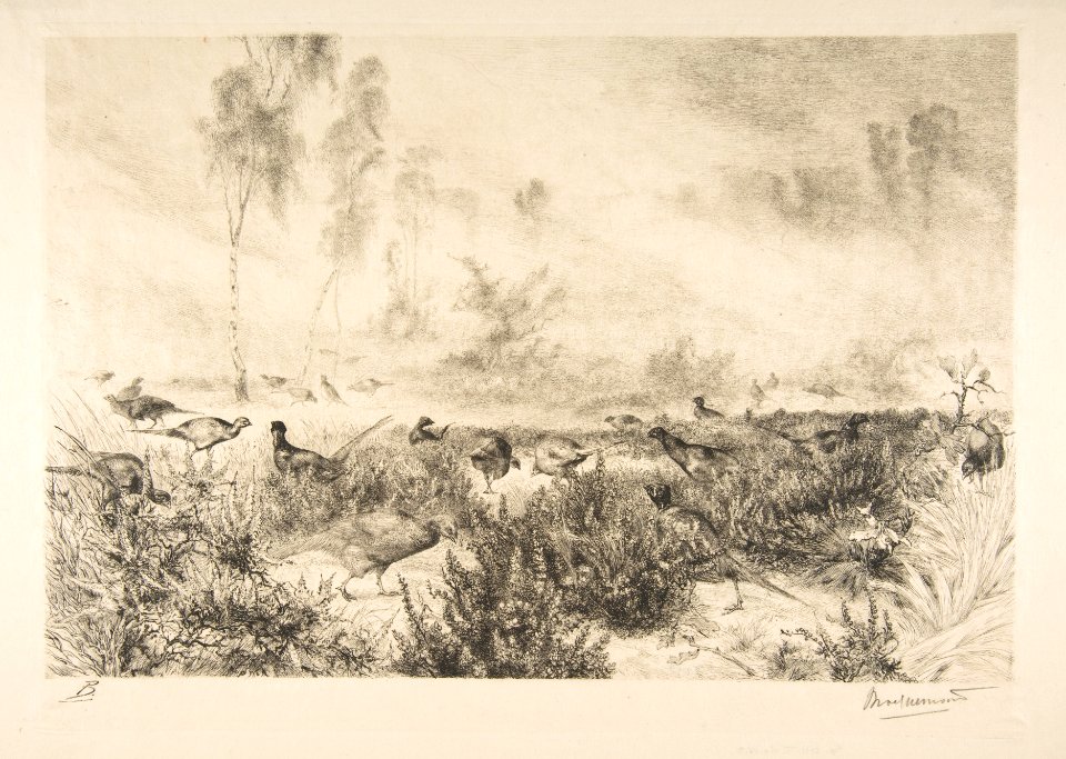 Pheasants at Dawn MET DP814176