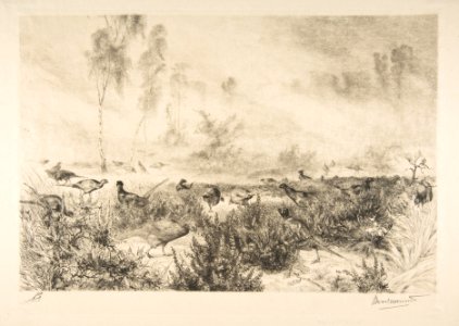 Pheasants at Dawn MET DP814176