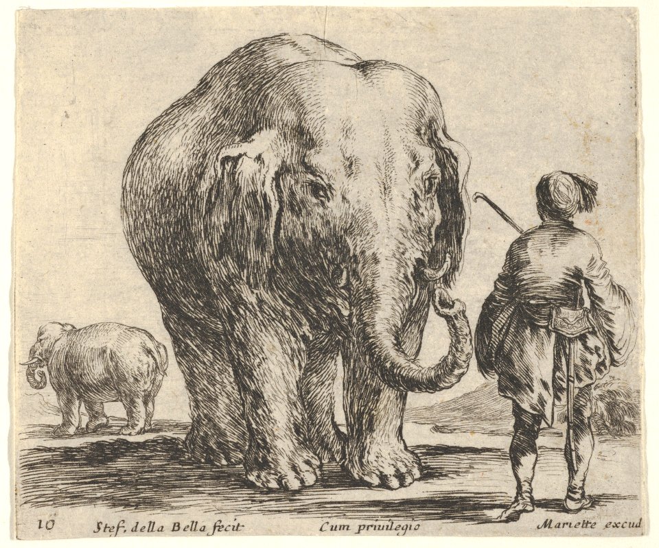 Plate 16- an elephant in center, his mahout standing to the right wearing an Oriental costume, another elephant to left in background, from 'Diversi capricci' MET DP833181