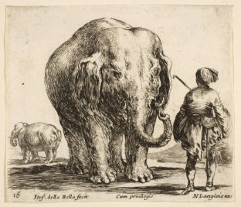 Plate 16- an elephant in center, his mahout standing to the right wearing an Oriental costume, another elephant to left in background, from 'Diversi capricci' MET DP817415