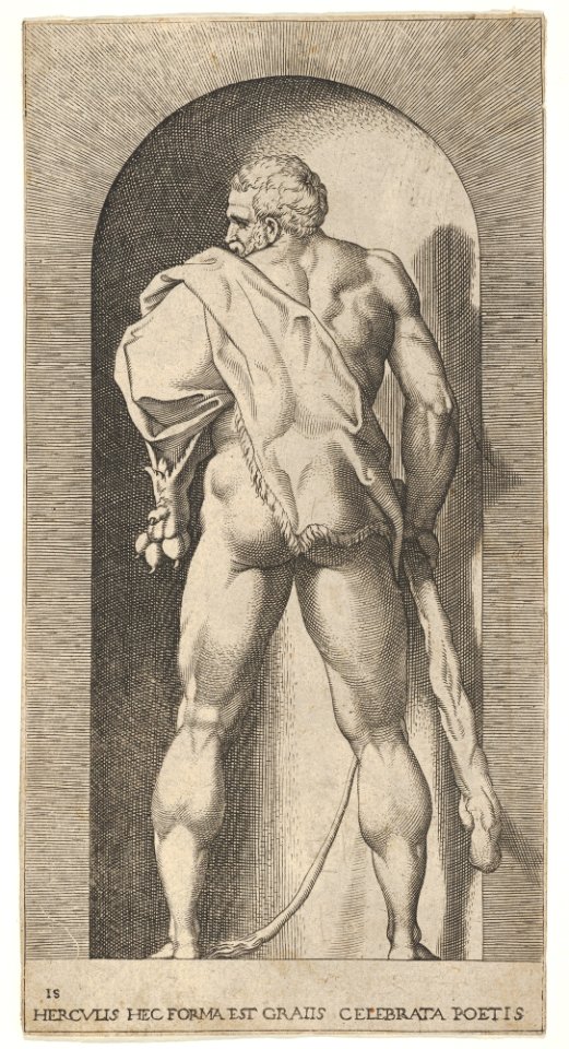 Plate 15- Hercules standing in a niche, wearing a lion skin and holding a club, viewed from behind, with his head turned to the left, from a series of mythological gods and goddesses MET DP832195