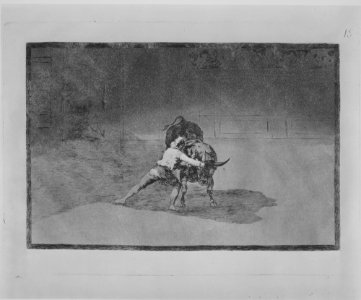 Plate 15 from the 'Tauromaquia'- The famous Martincho places the banderillas playing the bull with the movement of his body. MET MM8274