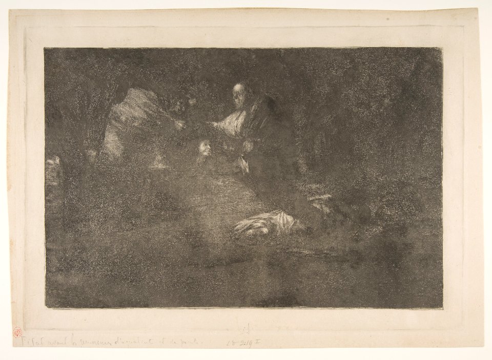 Plate 18 from the 'Disparates'-Birds of a feather flock together MET DP817482