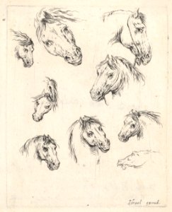 Plate 17- nine studies of horse heads, from 'Various heads and figures' (Diverses têtes et figures) MET DP831096